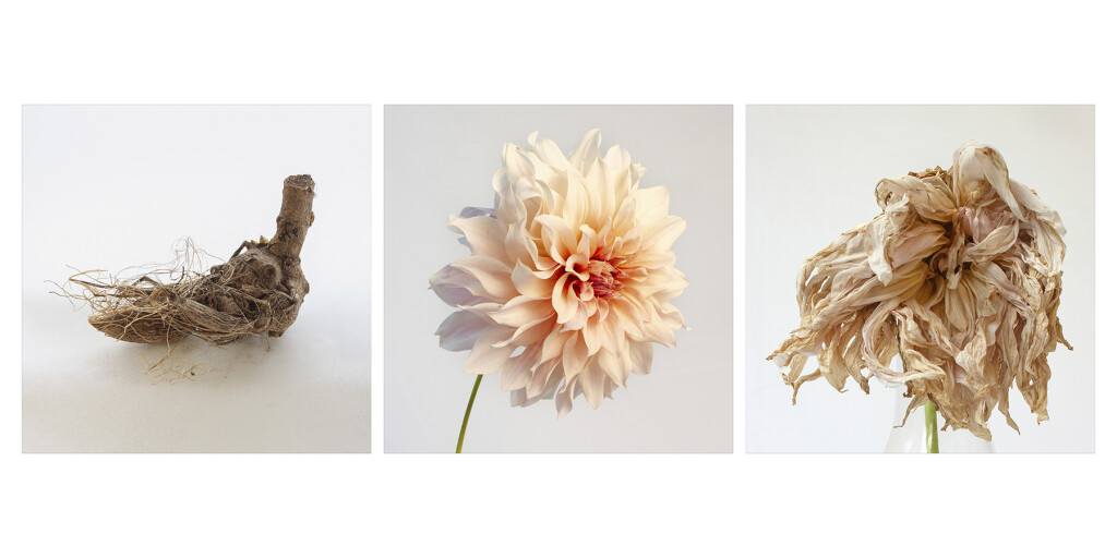 Triptych Cafe au Lait