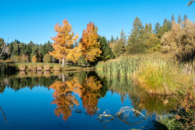 Squirrel Lake