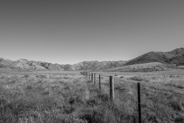 Fence- black & white