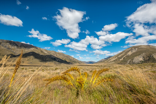Clarence Valley