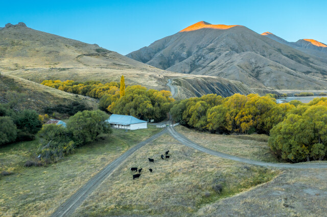Autumn colours 2 - Molesworth Station
