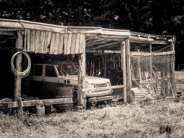 Barn Find