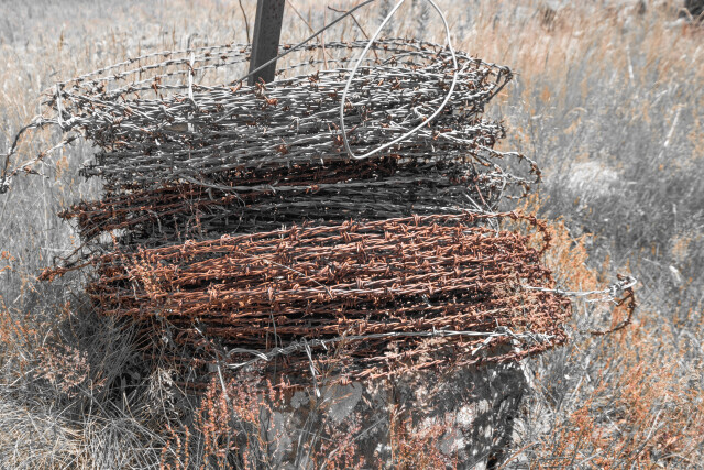 Barbed Wire - Molweworth Station