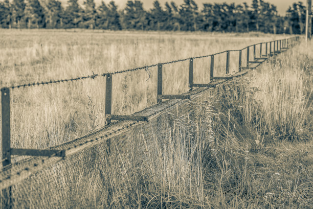 Old rabbit proof fence, Hawarden, North Canterbury