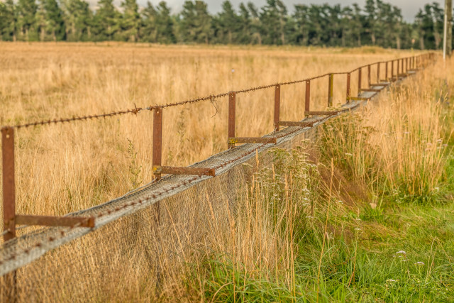 Old rabbit proof fence, Hawarden, North Canterbury