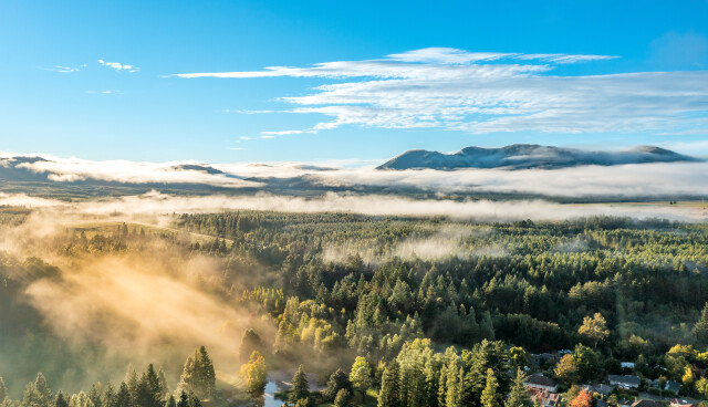 Morning Mist