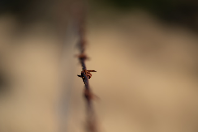 Barbed wire