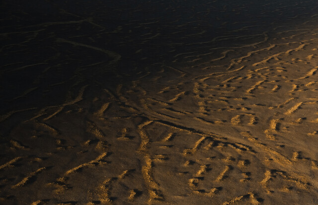 Shadow Play