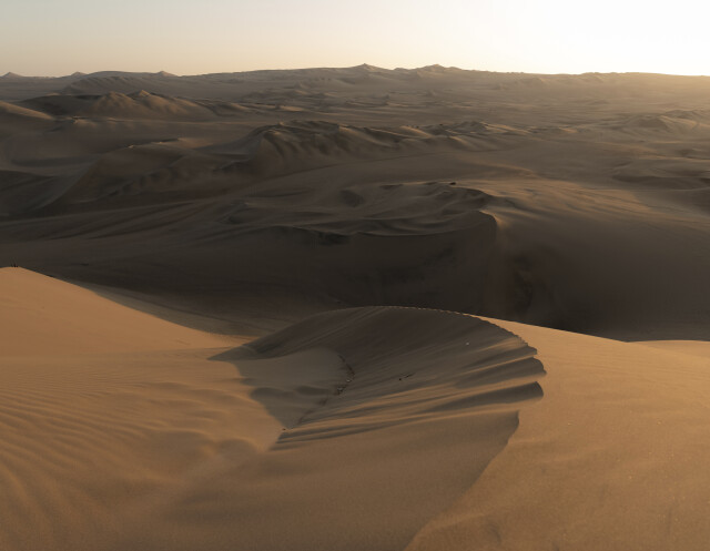 Windswept Oasis - Peru