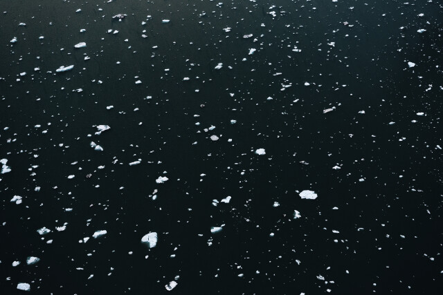 Icy Bay - Alaska