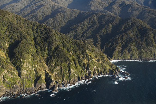 Fiordland Coastline