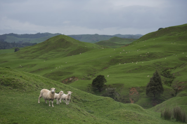 Rural New Zealand Family