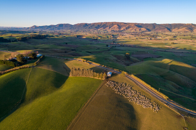 West Otago Landscapes