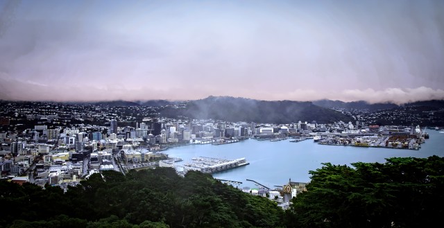 Wellington 