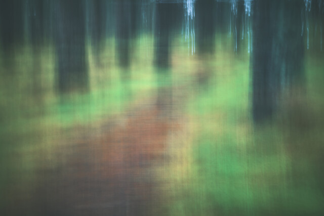 Path