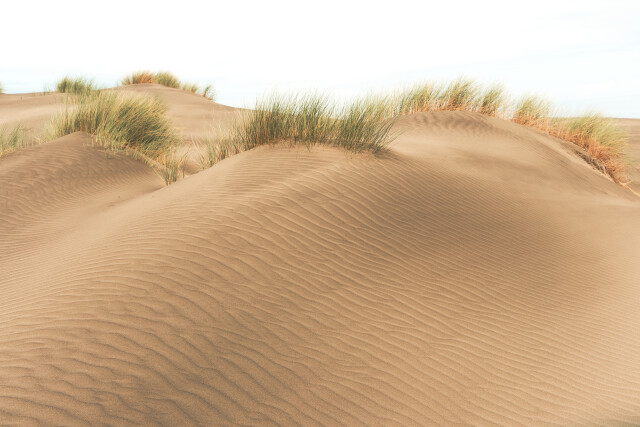 Dunes