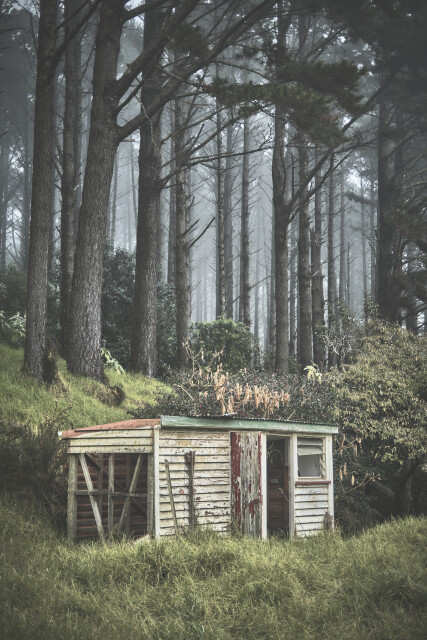 Old Shed