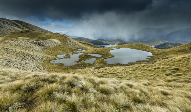 The Tarn