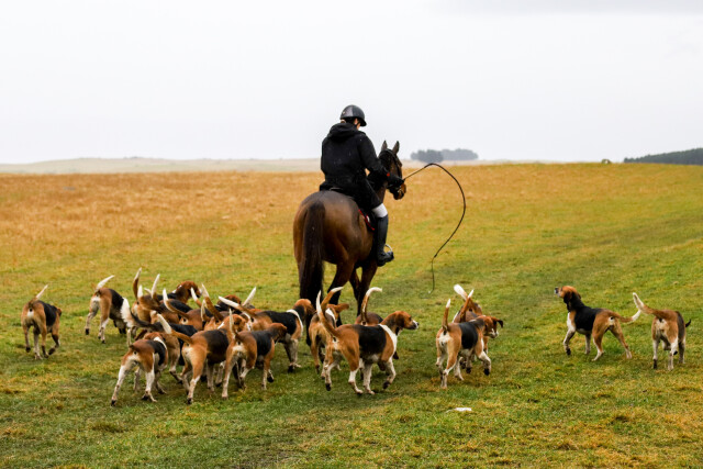 OTAGO HUNT CLOSING - BAREWOOD 2026