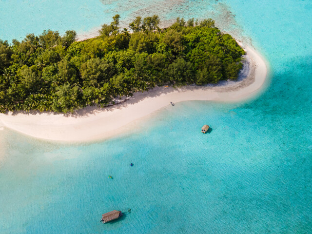 Motutapu Island