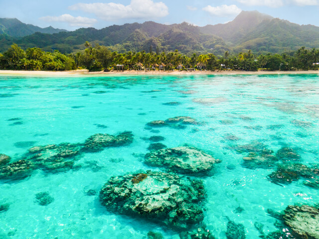 Rarotonga Reef