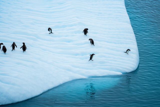 Antarctica Slip and Slide