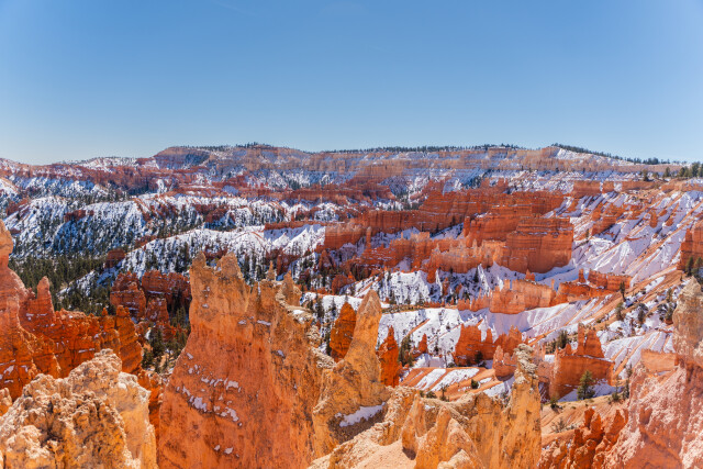 Hoodoos of Bryce Canyon