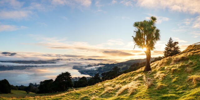 Otago Peninsula 2025