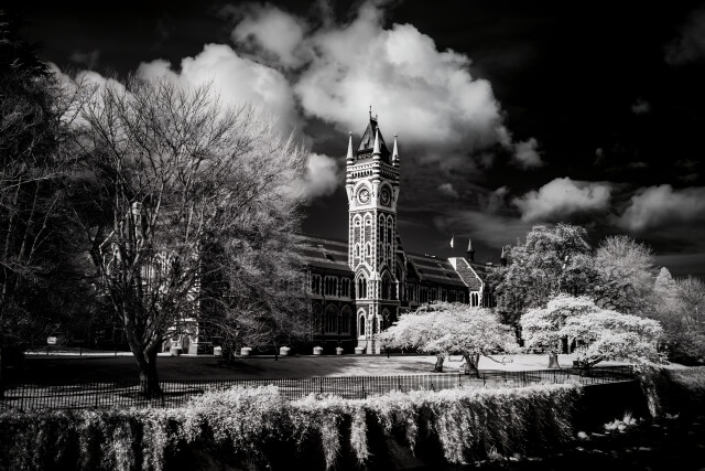 Otago University Clock Tower Black and White