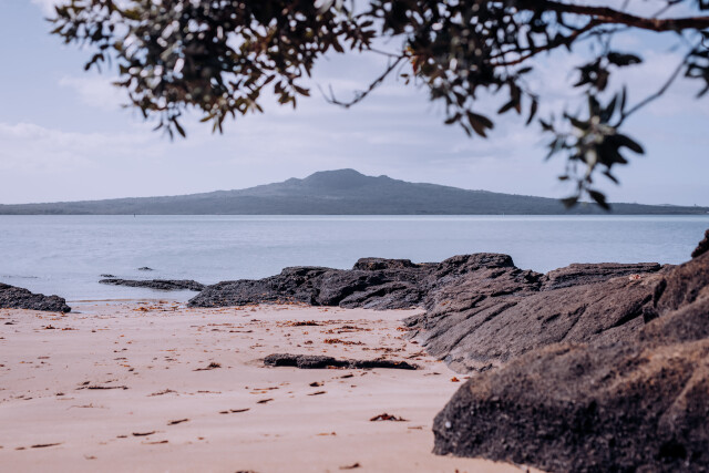 The Cove