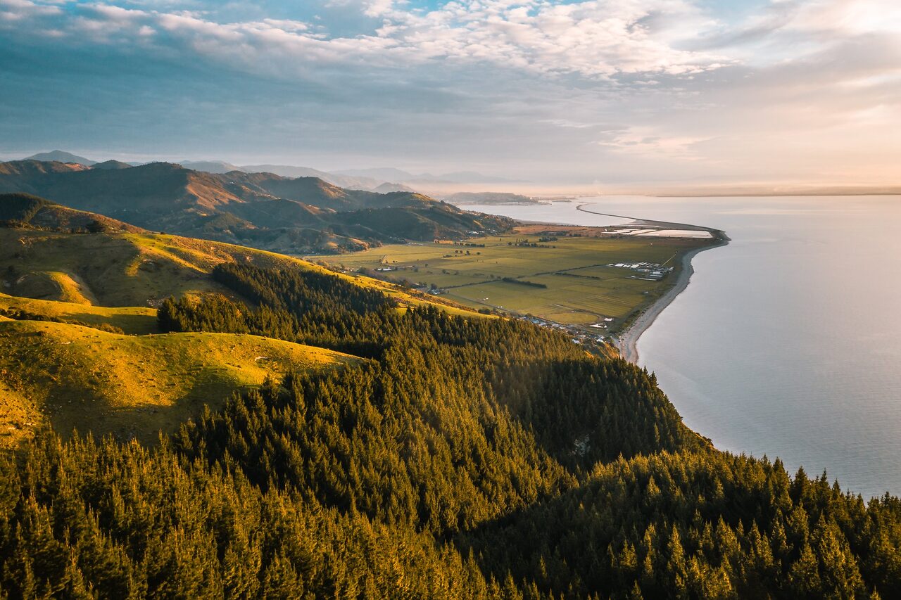 Nelson Tasman coastline from above