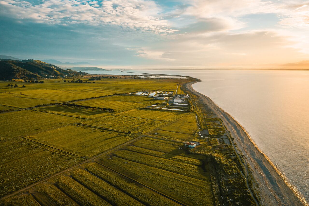 Farmland meeting the coast, Nelson Tasman