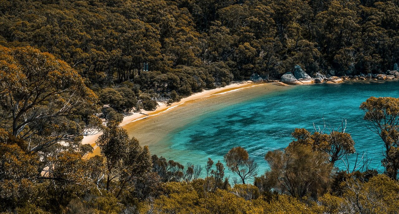 Refuge Cove, Wilsons Promontory