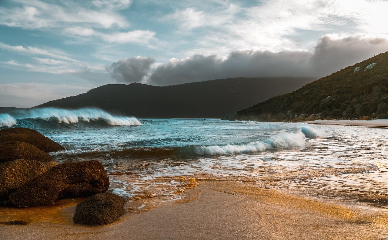 Little Waterloo Bay, Wilsons Promontory