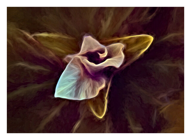 Trillium  Origami