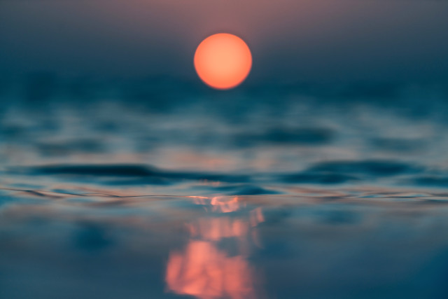 MORNING DELIGHT