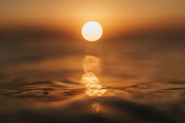 SUNRISE SQUIGGLES