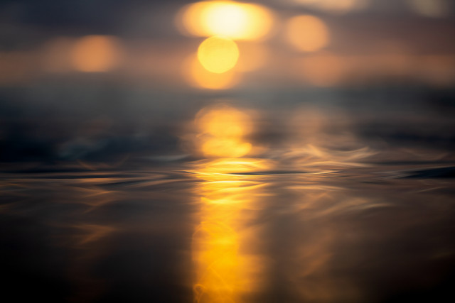 LUCID DREAM