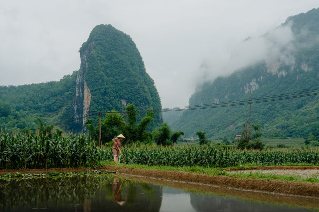 Farmstead: Northern Vietnam