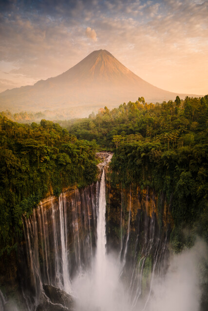 Genesis: East Java