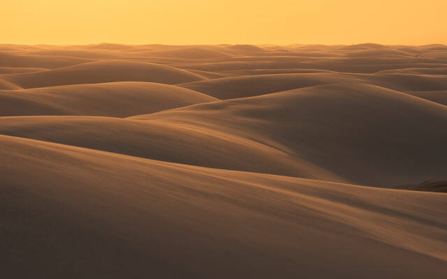 Shapeshifter: Northern Brazil