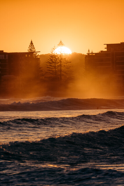 Sun Seeker: Gold Coast