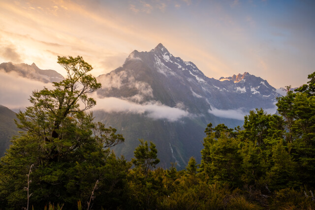Finale: Fiordland