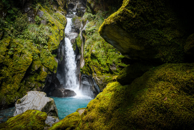 Lost World: Haast