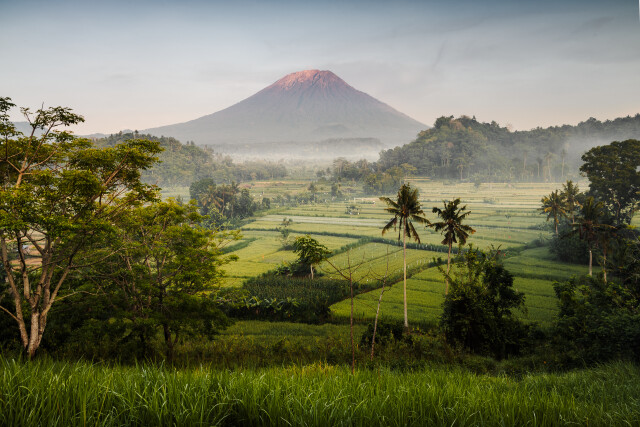 Garden of Eden: Indonesia