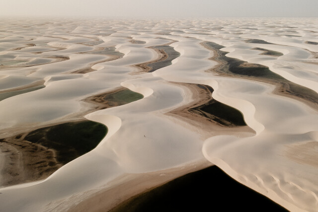 Dune Chaser: Northern Brazil