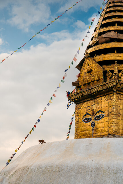 Shrine: Kathmandu
