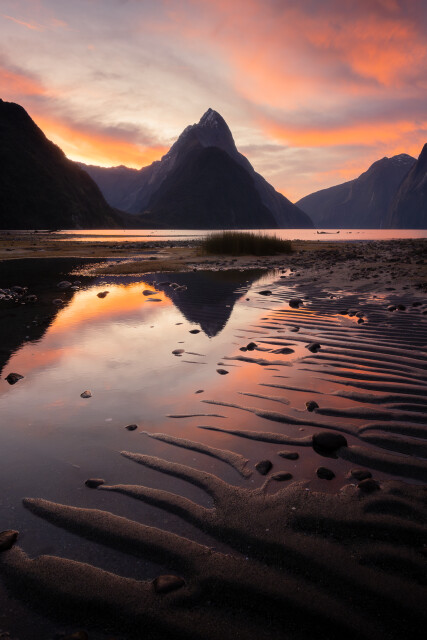Blush: Milford Sound