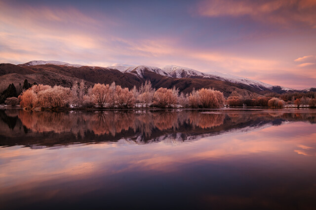 Amethyst: Mackenzie Country