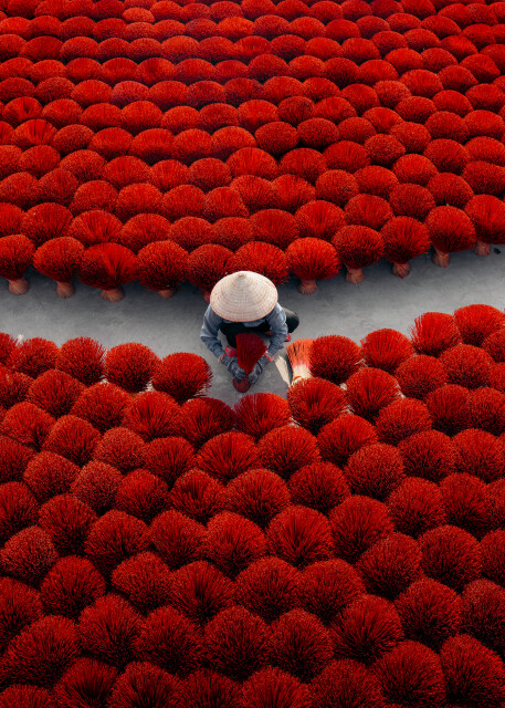 Bloom: Hanoi